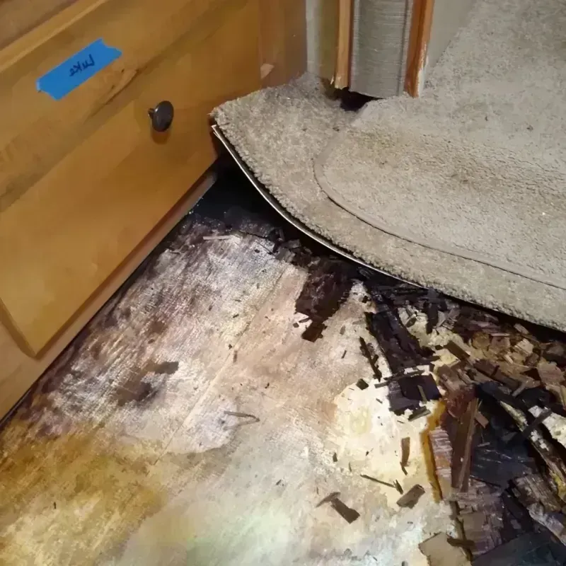 Wood Floor Water Damage in Sunnyside-Tahoe City, CA